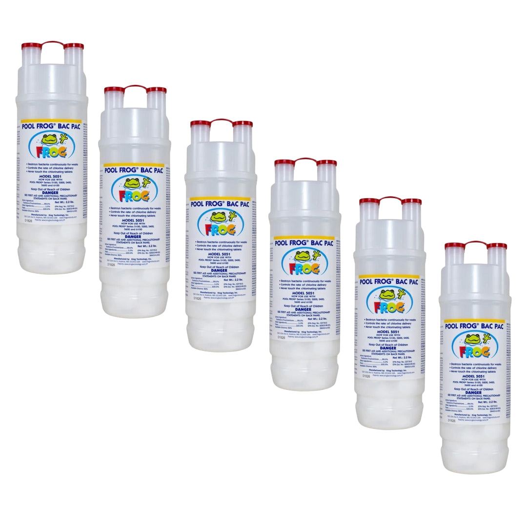 Pool Frog Chlorine Bac Pac 6-Pack